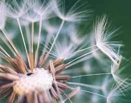 5 Winter Weight Loss Methods