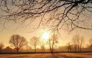 6 everyday details for losing weight without even realizing it