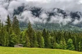 My experience of losing 8 pounds in a week