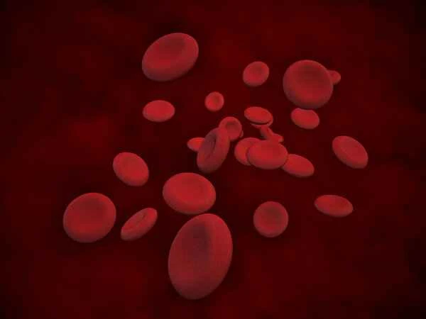 How to treat chronic urticaria caused by blood heat?