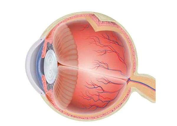 How to remove scars left on the eyeball