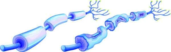 How to control the growth of keloids?