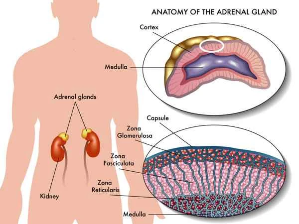 What to do about scar inflammation