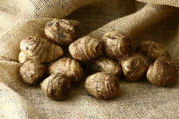 Why does shingles itch after eating taro?