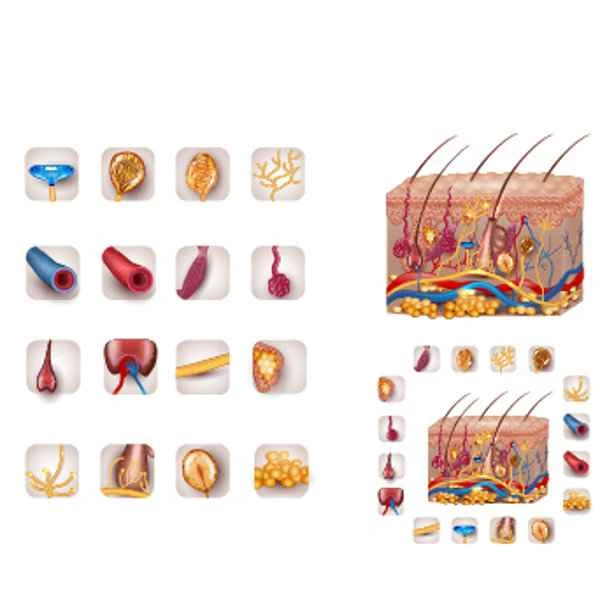 How to treat pressure urticaria