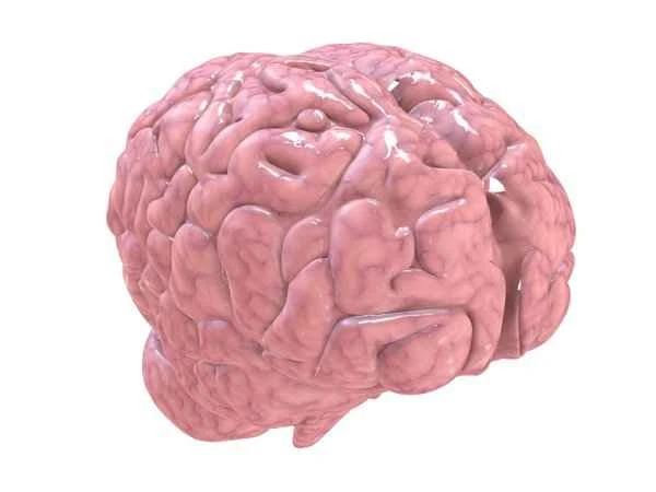 How are brain scars formed?